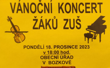 Vánoční koncert ZUŠ