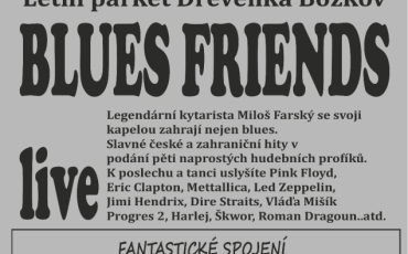 Blues Friends live