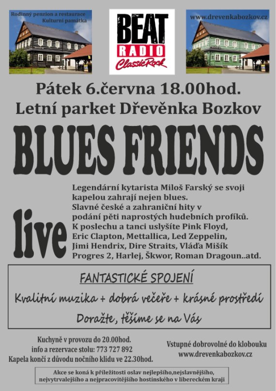 Blues Friends live